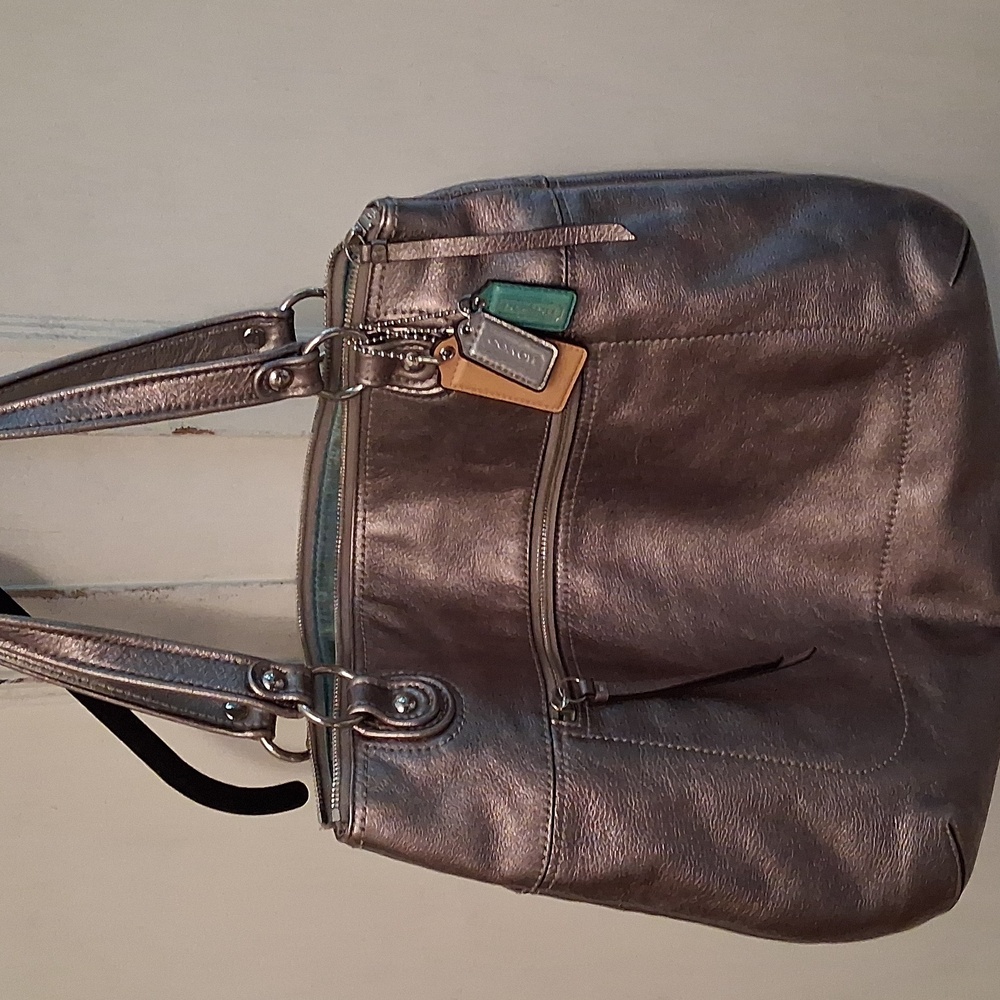 Coach Chic Metallic Shoulder Bag